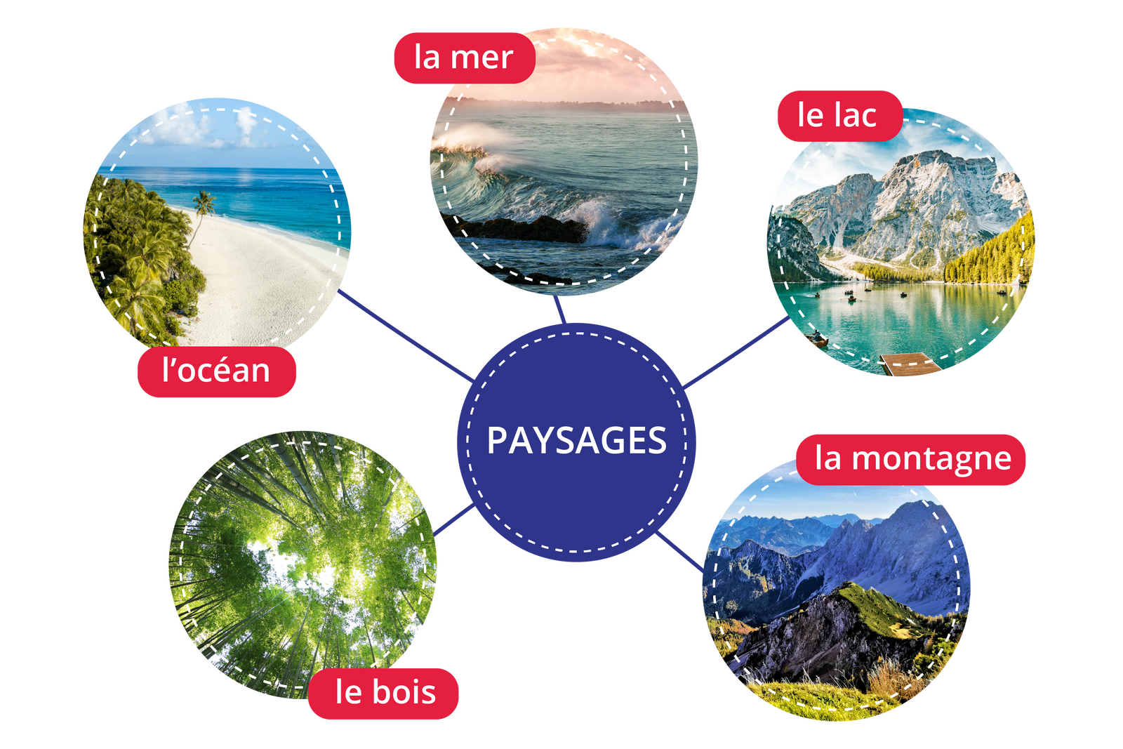 Diagram o punkcie centralnym PAYSAGES posiada pięć łączeń do zdjęć z podpisami.
la mer - morze;
le lac - jezioro;
l'océan - ocean; 
la montagne - góry;
le bois - las.
