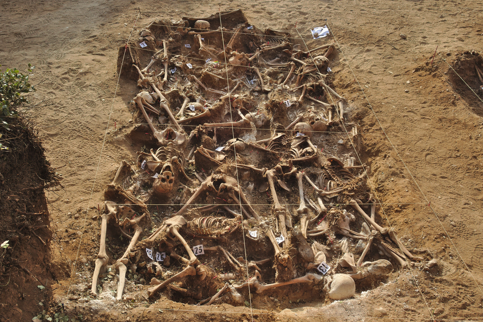 Zdjęcie przedstawia kości ludzkie w masowym grobie. Znajduje się w nim kilkadziesiąt szczątków. Ma on kształt prostokąta. Ziemia wokół jest jasnobrązowa. 