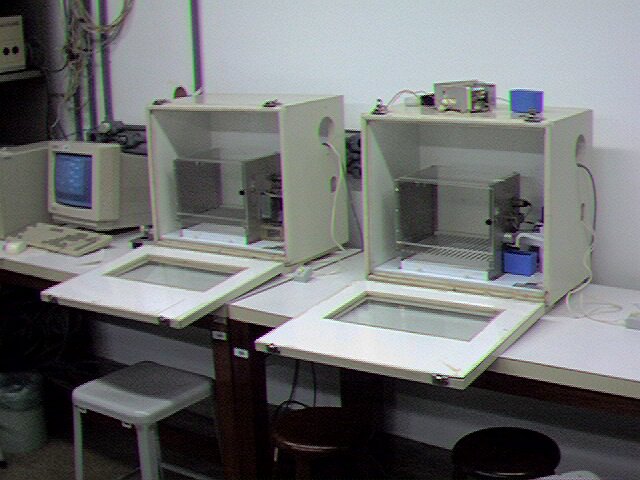 Zdjęcie przedstawia wnętrze laboratorium. Na blacie roboczym znajduje się monitor komputera z niewielkim ekranem oraz klawiatura z myszką. Obok niego stoją dwie prostopadłościenne, przeszklone z przodu klatki. Przednia ściana klatek jest otwarta i leży na blacie. Wewnątrz znajduje się konstrukcja zbudowana z metalowych prętów. Z boku klatki wchodzą przez otwór przewody elektryczne. Na wierzchu jednej z klatek znajdują się drobne, metalowe i plastikowe elementy. Pod blatem roboczym widoczne są taborety oraz kosz.