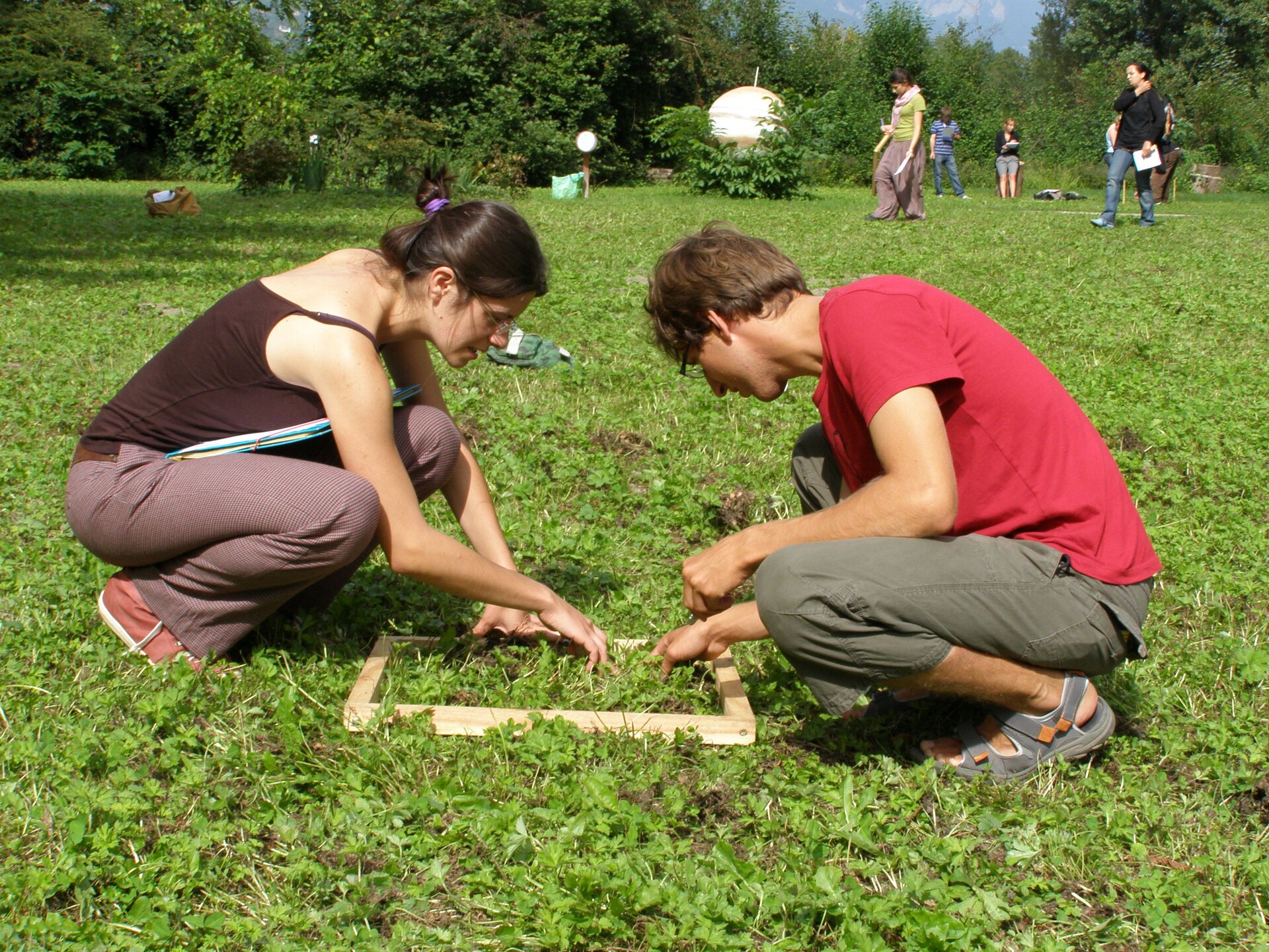 Płaski teren porośnięty zieloną roślinnością o wysokości kilku centymetrów, posiadającą drobne listki. Na pierwszym planie dwójka osób przeprowadzających badanie. Między nimi na ziemi rozłożona jest drewniana, prostokątna ramka. W tle inne, spacerujące po terenie osoby.