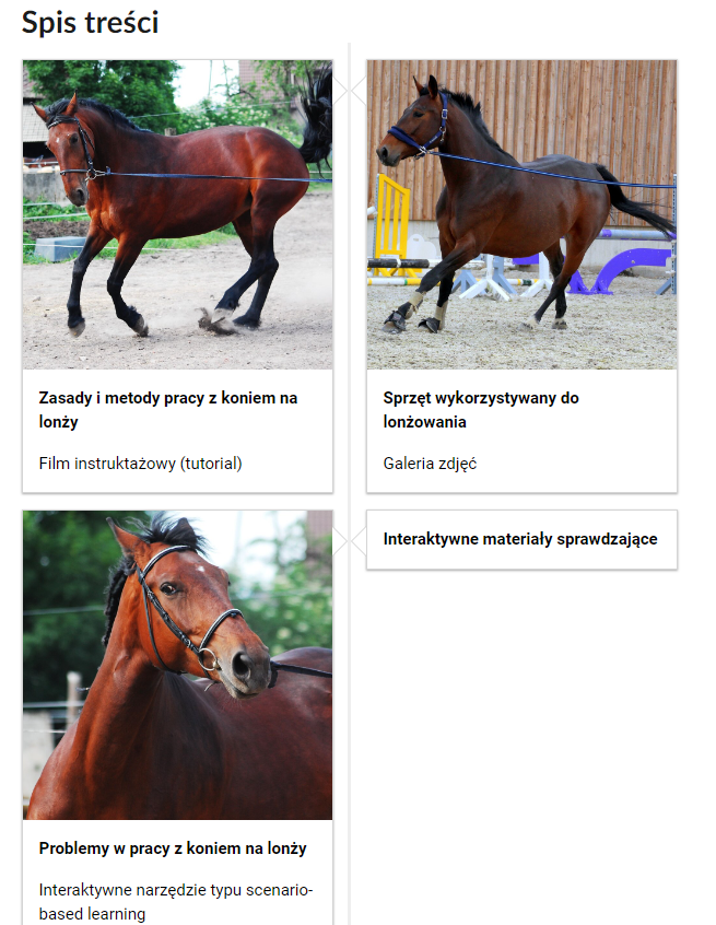 Grafika przedstawia przykładowy widok spisu treści. Widoczny jest napis: Spis treści. Poniżej znajdują się cztery kafelki. Pierwszy kafelek. Zasady i metody pracy z koniem na lonży. Film instruktażowy (tutorial). Drugi kafelek. Sprzęt wykorzystywany do lonżowania. Galeria zdjęć. Trzeci kafelek. Problemy w pracy z koniem na lonży. Interaktywne narzędzie typu scenario‑based learning. Czwarty kafelek. Interaktywne materiały sprawdzające.
