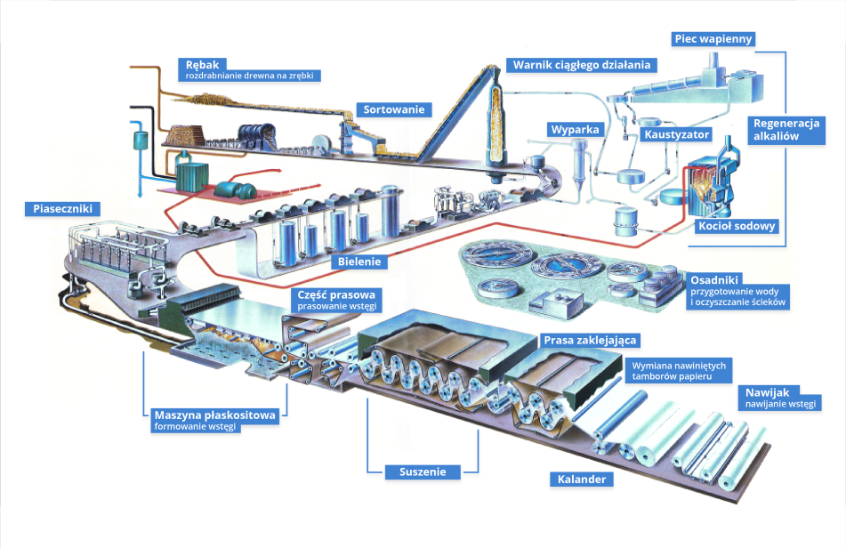 Grafika obrazuje proces produkcji papieru. Poszczególne etapy oraz urządzenia zostały podpisane. Pierwszym punktem procesu produkcji papieru jest rębak, w którym następuje rozdrabnianie drewna na zrębki. Zrębki drewniane są poddawane sortowaniu i skierowane do warnika ciągłego działania, następnie poddane wybielaniu i oczyszczaniu w piasecznikach. Kolejny etap odbywa się w maszynie płaskositowej, w której masa jest odwadniana i formowana oraz wygładzana za pomocą systemu walców. Następnymi punktami są: prasa zaklejająca, suszenie i kalander. Na końcu linii produkcyjnej przedstawiono gotowy produkt uformowany w bale. Tuż obok warnika ciągłego działania przedstawiono dział regeneracji alkaliów, w którym znajdują się: wyparka, kaustyzator, piec wapienny i kocioł sodowy.