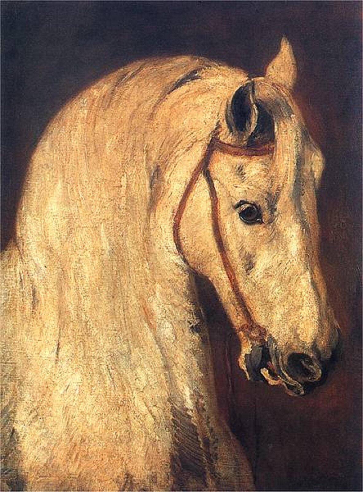 Ilustracja przedstawia dzieło Piotra Michałowskiego „Studium głowy końskiej”. Obraz przedstawia głowę konia z jasną grzywą. Koń jest jasnej maści, ma otwarty pysk. Widać nałożoną na głowę rzemienną uzdę. Tło jest ciemno-brązowe w górnej części przechodzące w czerń.