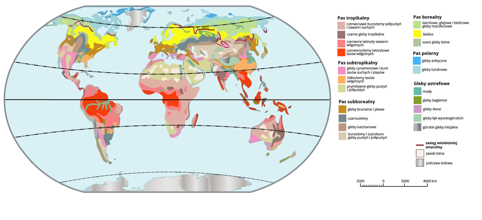 Na mapie świata wyróżniono gleby astrefowe, gleby w pasie subborealnym, w pasie subtropikalnym, w pasie tropikalnym oraz w pasie polarnym, a także zasięg wieloletniej zmarzliny, piaski lotne i pokrywę lodową. Wśród gleb sstrefowych wyróżniono mady, gleby bagienne, gleby słone, gleby łąk wysokogórskich, górskie gleby inicjalne. W pasie subborealnym: gleby brunatne i płowe, czarnoziemy, gleby kasztanowe, buroziemy i szarobure gleby pustyni i półpustyń. W pasie subtropikalnym: gleby cynamonowe i bure lasów suchych i stepów, żółtoziemy lasów wilgotnych, prymitywne gleby pustynne i półpustynne. W pasie tropikalnym: czerwonawe buroziemy półpustyń i sawann suchych, czarne gleby tropikalne, czerwony lateryty sawann wilgotnych, czerwonoziemy laterytowe lasów wilgotnych. W pasie polarnym: gleby arktyczne, gleby tundrowe. Gleby tundrowe spotykane są na północnych krańcach kontynentu eurazjatyckiego i Ameryki Północnej. Gleby bielicowe spotykane są w warunkach klimatu umiarkowanie chłodnego. Spotykane są w Europie Środkowej i Północnej, na Nizinie Wschodnioeuropejskiej i w azjatyckiej Rosji, na północny terytorium USA i Kanady. Gleby brunatne i płowe spotykane są w warunkach strefy umiarkowanej z cechami klimatu morskiego. Spotyka się je na obszarze Europy Zachodniej i Południowej, Azji, Korei, Japonii, Afryki Południowej, wschodniej Australii i północy USA. Czarnoziemy pokrywają Ukrainę, prerie środkowych stanów USA, pampę argentyńską i południowo‑wschodnie wybrzeża Australii. Gleby kasztanowe spotykamy w strefie umiarkowanej na obszarze ciepłym i suchym. Spotykane są na obszarach amerykańskich prerii, na południu Argentyny, na południowym - zachodzie Australii, w Sudanie, na Wyżynie Mongolskiej, na północy od pustyni Kalahari i na terenach położonych na południe od Morza Kaspijskiego. Szaroziemy pustynne spotykamy na obszarach pustynnych i półpustynnych. Spotykanymi są na obszarach pustyń zwłaszcza w Azji Środkowej, Australii i na Saharze. Czerwonoziemy, żółtoziemy i lateryty są glebami charakterystycznymi dla warunków klimatu gorącego, wilgotnego. Pokrywają Amazonię, Afrykę Równikową, Amerykę Środkową, Indie i północną Australię. Gleby astrefowe: Mady - największe obszary w Egipcie, Mezopotamii, w Indiach, na Nizinie Chińskiej. Gleby słone: występują na rozległych obszarach północno‑wschodniej Argentyny i w Chile, w południowej Europie (na Ukrainie, Węgrzech, w Rosji, Rumunii i Bułgarii), w Azji (Kazachstan i Chiny), w Republice Południowej Afryki, Australii oraz w Stanach Zjednoczonych i w Kanadzie. Czarne ziemie: największe obszary są w Afryce środkowej, Indiach i Urugwaju. Rędziny: występują na wszystkich kontynentach i w różnych strefach klimatycznych, między innymi: Wyżyna Środkowosyberyjska, wyżyny niemieckie, polskie, Włochy, Hiszpania, USA - Teksas, strefa śródziemnomorska w Afryce. Górskie gleby inicjalne: w rejonach pasm górskich.  Na mapie zaznaczono granicę wiecznej zmarzliny: obejmuje niemal całą Alaskę, większość północnej Kanady i Syberii. Ciągła zmarzlina sięga aż do północnej Mongolii, punktowo występuje też w Górach Skandynawskich i na Grenlandii.