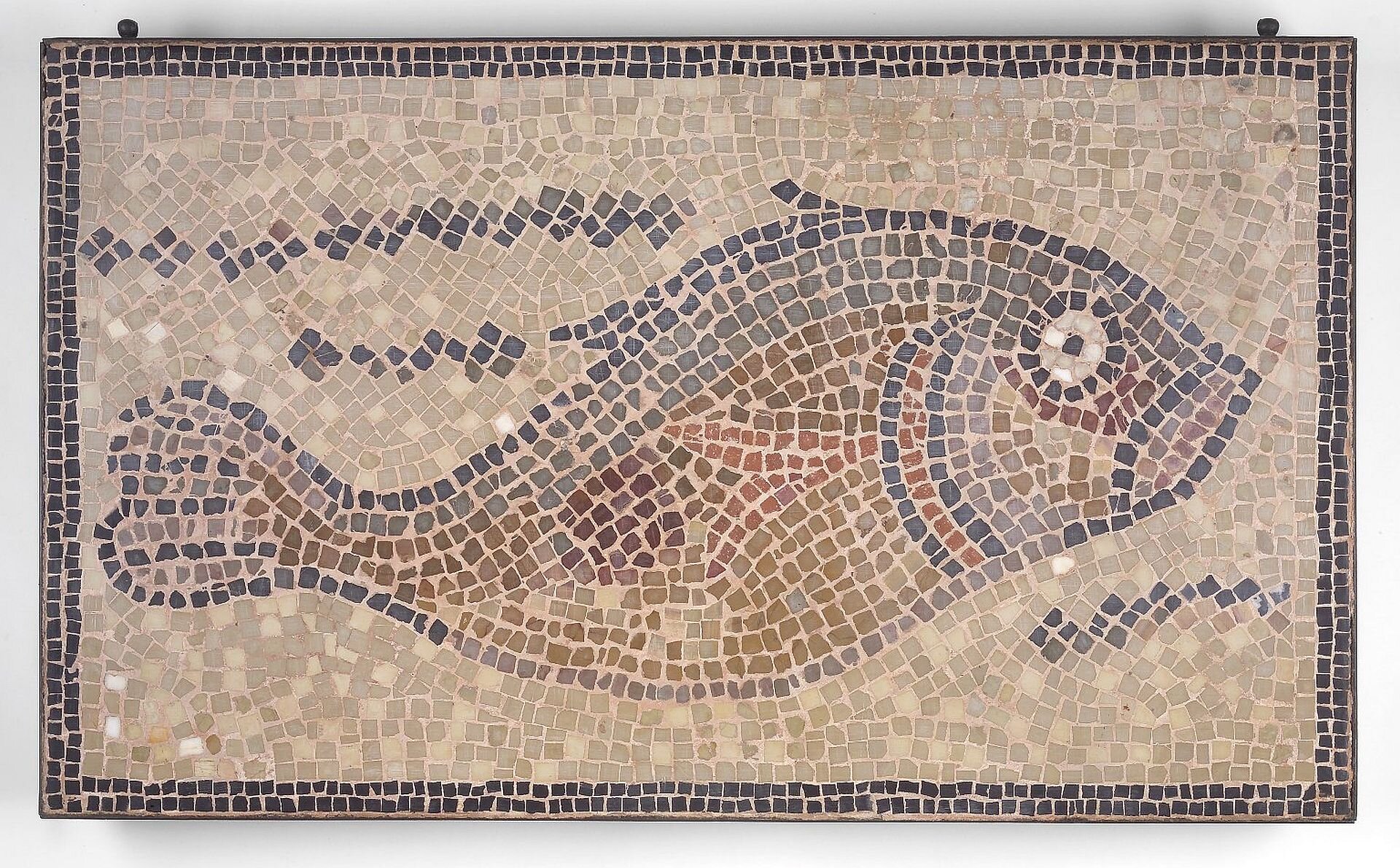 
Ilustracja to mozaika przedstawiająca rybę, pochodzi z VI w. n.e., obecnie w Brooklyn Museum w Nowym Yorku. Ryba jest w kolorze brązowo-czarnym. Kompozycję otacza ramka w kolorze ciemnobrązowym.