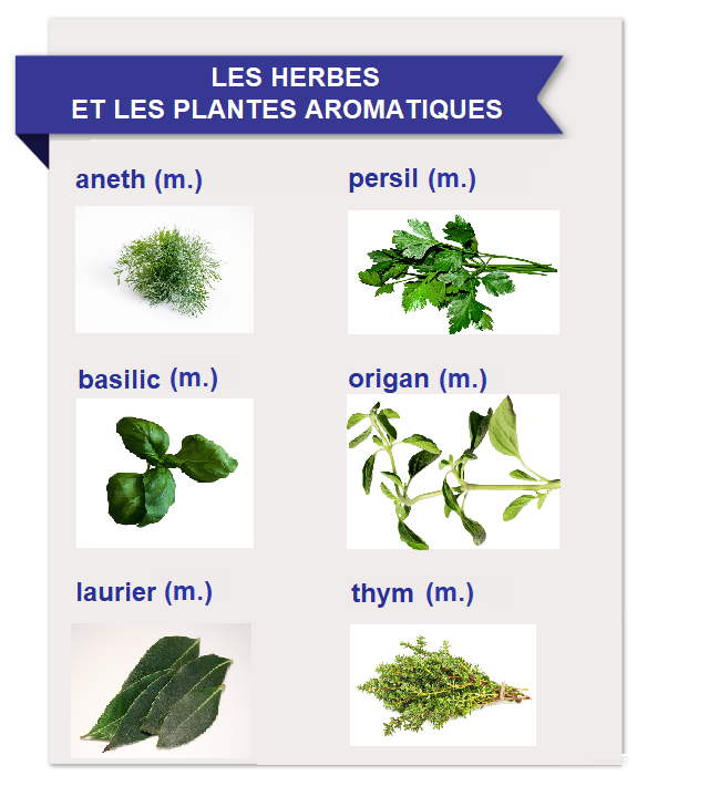 Ilustracja przedstawia planszę ze zdjęciami ziół oraz ich francuskimi nazwami. 