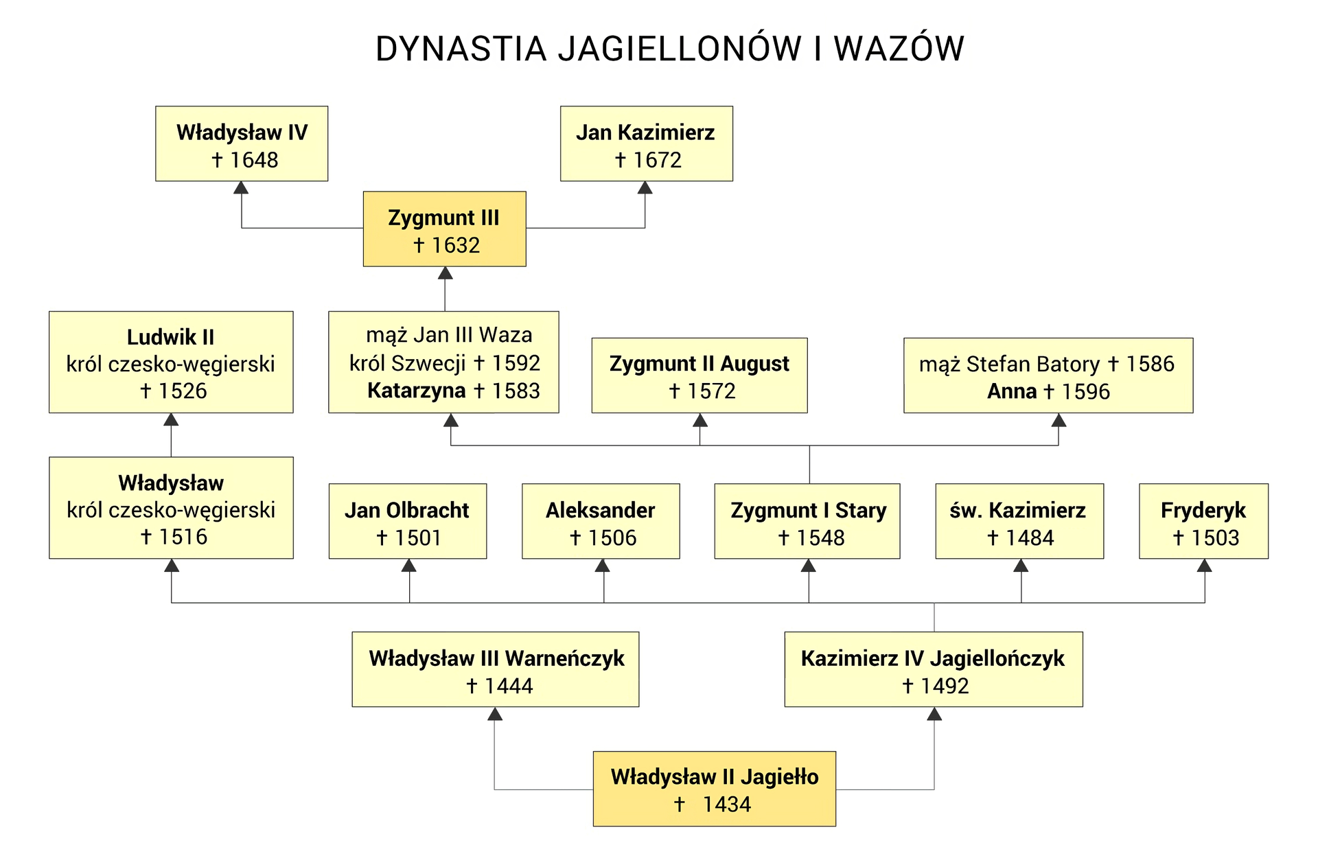 Schemat - drzewo genealogiczne Dynastii Jagiellonów i Wazów.