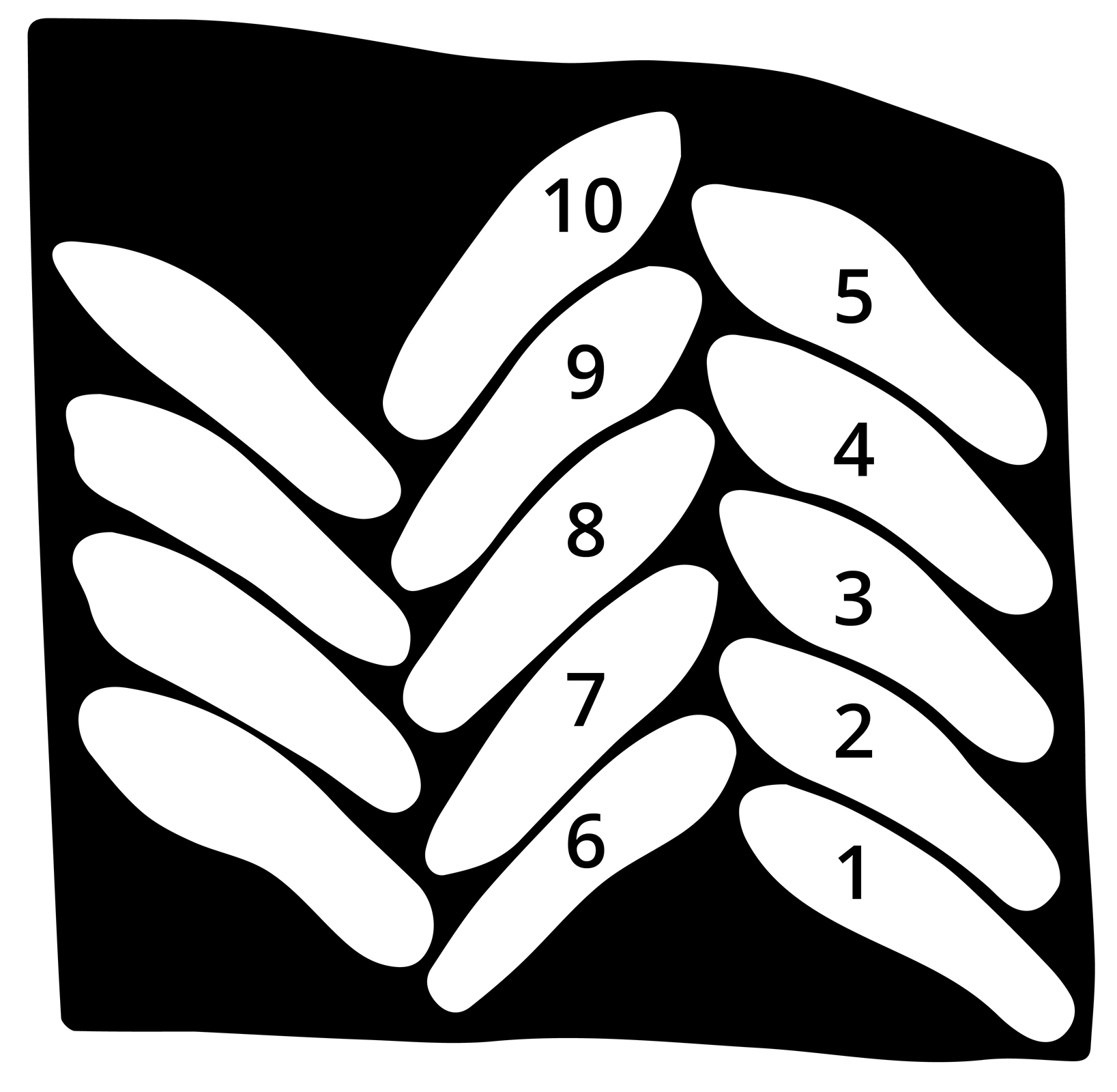 Rysunek przedstawia jodełkowy system układalności podeszew. Po prawej stronie znajduje się pierwsza kolumna pięciu podeszew prawych ułożonych od dołu do góry jedna obok drugiej i stykających się ze sobą. Są one przechylone w lewą stronę pod kątem około 45 stopni. Druga kolumna pięciu podeszew lewych ułożonych też od dołu do góry przechylony jest w prawą stronę tak, że dotyka pod kątem 90 stopni przedstopia prawych spodów. Trzecia kolumna prawych spodów ułożony jest tak samo jak pierwsza. Podeszwy z pierwszej oraz drugiej kolumny są ponumerowane od 1 do 10, od dołu do góry.