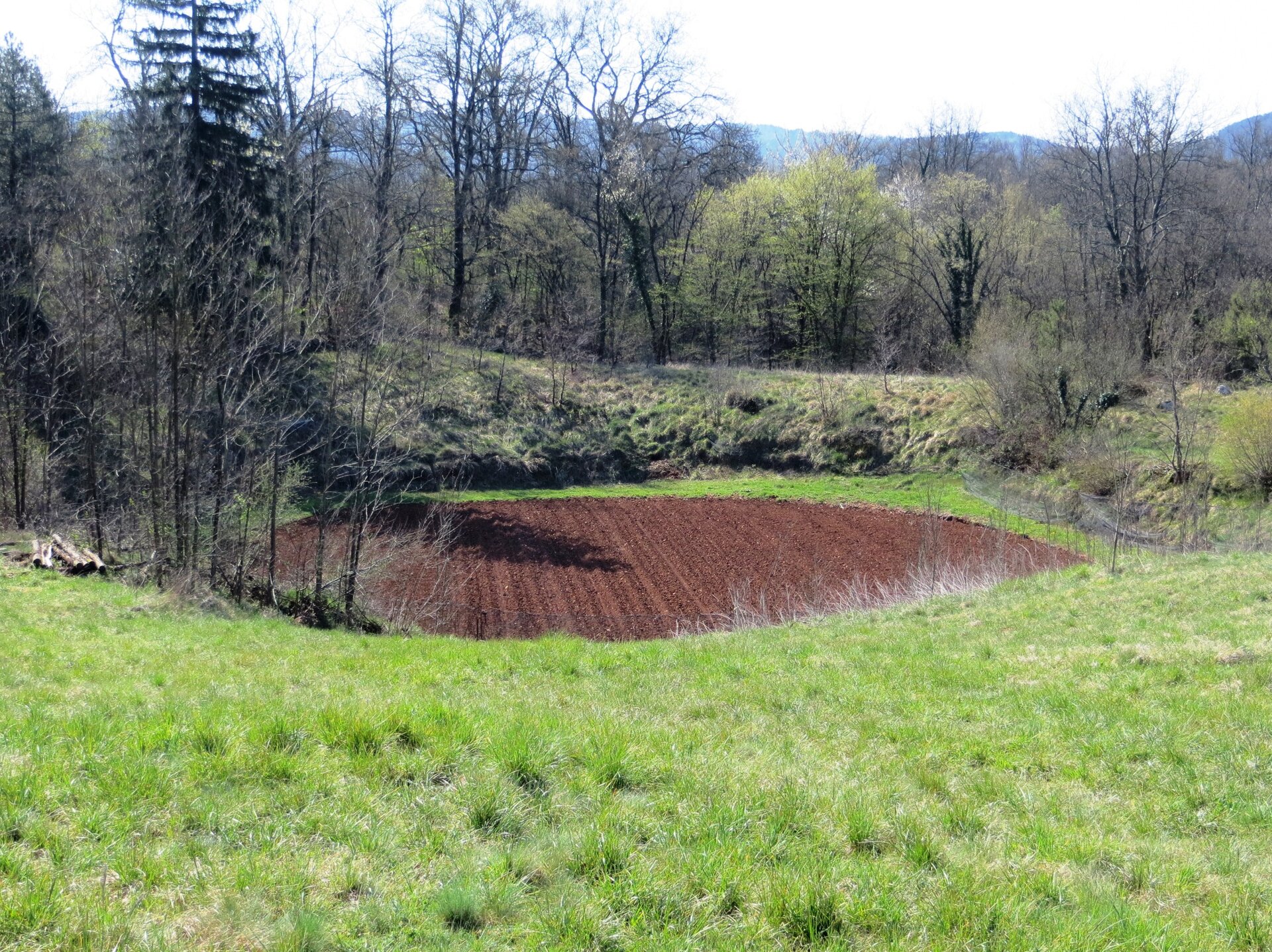 Zdjęcie przedstawia zagłębienie. Teren pokryty trawą i drzewami, pośrodku obniżenie terenu, na którym jest pole uprawne.