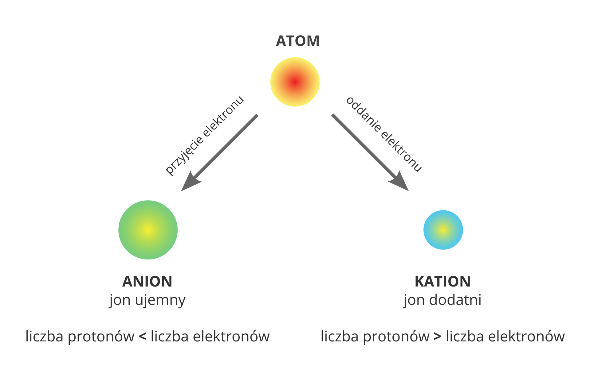 Schemat przedstawia proces przekształcania się atomów w jony i ma postać grafu. Centralną górną część zajmuje żółto‑czerwone koło podpisane jako Atom. Odchodzą od niego dwie strzałki skierowane w stronę kół żółto‑zielonego w lewym dolnym rogu podpisanego Anion oraz żółto‑niebieskiego w prawym dolnym rogu podpisanego Kation. Dodatkowe informacje zawarte w schemacie głoszą, że anion to jon ujemny, w którym liczba protonów jest mniejsza od liczby elektronów, a powstaje w wyniku przyjęcia elektronu przez atom, zaś kation to jon dodatni o liczbie protonów większej od liczby elektronów i powstaje w wyniku oddania elektronu przez atom.