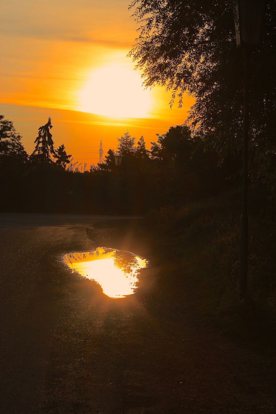 Ilustracja przedstawia wschód słońca. Na żółto-pomarańczowym niebie słońce jest jasną plamą. Na pierwszym planie znajduje się polana otoczona drzewami. Pośrodku niej jest kałuża, w której odbija się słońce.