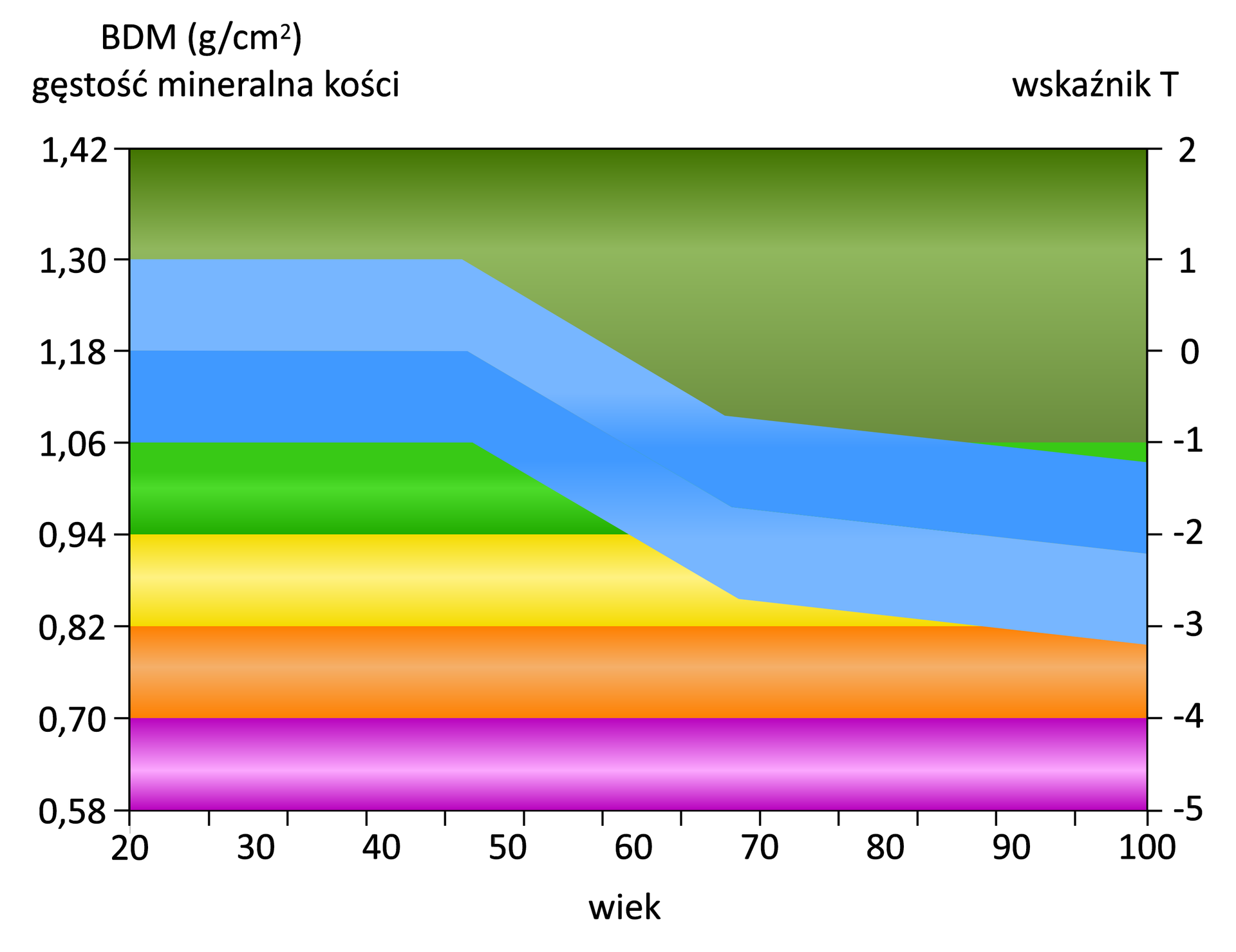 Grafika przedstawia wynik badania densytometrycznego u 27‑latka. Ukazany jest wykres. Na skali X podany jest wiek w przedziale od 20 do 100 lat. Na osi Y po lewej stronie wartość BDM, czyli gęstość mineralna kości (gram na centymetr kwadratowy) w skali od 0,58 (na dole) do 1,42 (na górze). Równolegle do osi Y, po jej drugiej stronie znajduje się wskaźnik T w skali od minus 5 na dole do 2 na górze. Gęstość mineralna kości 0,58 to wskaźnik T na poziomie minus 5. Gęstość mineralna kości 0,70 to wskaźnik T na poziomie minus 4. Gęstość mineralna kości 0,82 to wskaźnik T na poziomie minus 3. Gęstość mineralna kości 0,94 to wskaźnik T na poziomie minus 2. Gęstość mineralna kości 1,06 to wskaźnik T na poziomie minus 1. Gęstość mineralna kości 1,18 to wskaźnik T na poziomie 0. Gęstość mineralna kości 1,30 to wskaźnik T na poziomie 1. Gęstość mineralna kości 1,42 to wskaźnik T na poziomie 2. Optymalny wynik gęstości mineralnej kości wynosi między 1,06 a 1,30 dla wieku 20‑45 lat przy wskaźniku T między minus jeden a jeden. Od 45 do 65 roku życia gęstość spada z poziomu między 1,06 a 1,30 do poziomu między 1,06 a 0,85 przy wskaźniku T między minus trzy a minus jeden. Między 65 a 100 rokiem życia spadek gęstości jest nieznaczny i gęstość kości ma wartość między 1,06‑0,85 a 1,04‑0,80 przy wskaźniku T na poziomie minus 3,2 a minus 1,2.