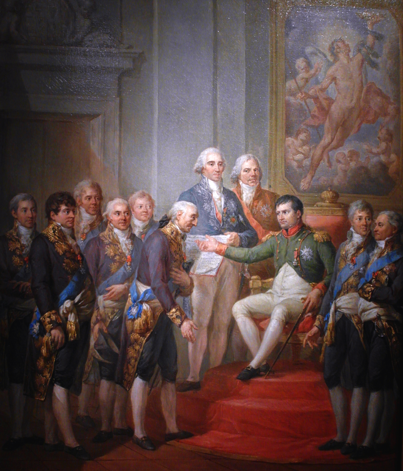 Obraz przedstawia salę pałacową, w której znajduje się grupa 11 mężczyzn. Na podwyższeniu, na tronie siedzi Napoleon Bonaparte. Jest w mundurze. Prawą rękę wyciąga do stojącego nieopodal niego mężczyzny. To dawny marszałek Sejmu Wielkiego Stanisław Małachowski. Marszałek kłania się Napoleonowi. Scenie przyglądają się pozostali, będący w sali, mężczyźni.