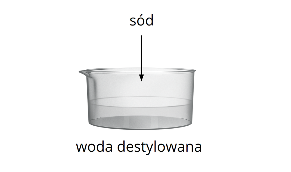 Ćwiczenie alternatywne jest przedstawione w trybie dostępności.