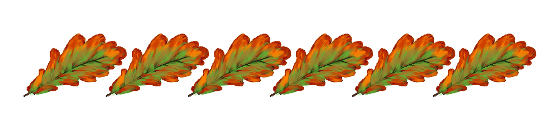 Ilustracja przedstawiająca ornament z jesiennych liści