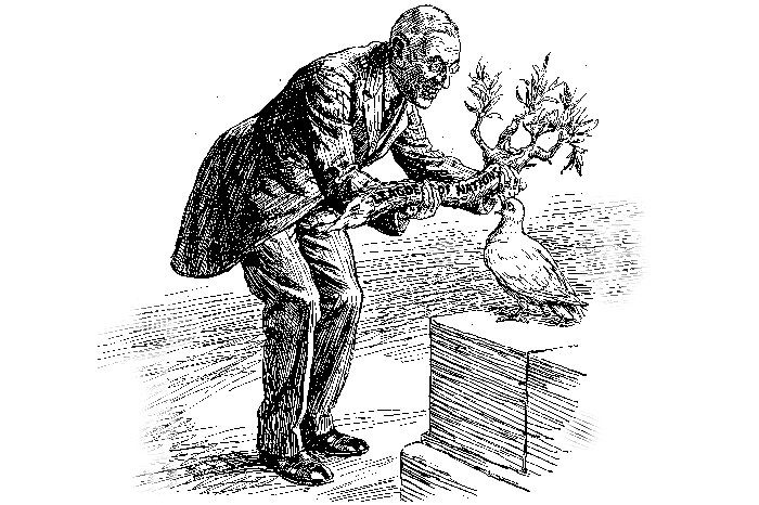 Ilustracja przedstawia dojrzałego mężczyznę w garniturze i okularach. Stoi lekko pochylony. Trzyma w rękach ogromną gałąź z napisem po angielsku: League of Nations. Mężczyzna jest uśmiechnięty i chce wręczyć gałąź niedużemu gołębiowi. Ptak ma szeroko otwarty dziób, ale nie na tyle, aby zmieścić w nim gałąź.