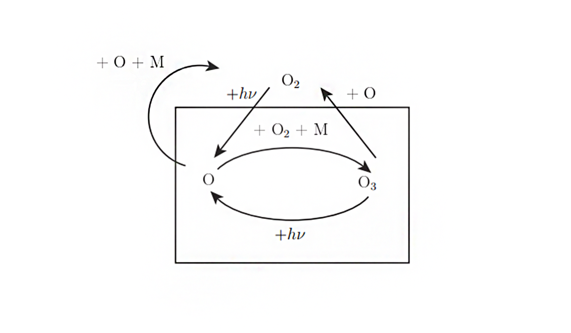 Przedstawiony na schemacie cykl ma następujący przebieg: 1. Pod wpływem promieniowania ultrafioletowego dwuatomowa cząsteczka tlenu jest rozbijana na atom tlenu  2. W wyniku zderzenia atomu tlenu z cząsteczką tlenu powstaje ozon. Zapis reakcji. Atom tlenu dodać dwuatomowa cząsteczka tlenu strzałka w prawo cząsteczka ozonu dodać M (Cząsteczki M odprowadzają ciepło z układu). , 3. Fale promieniowania ultrafioletowego powodują rozpad cząsteczki ozonu. Zapis reakcji. Cząsteczka ozonu dodać promieniowanie ultrafioletowe strzałka w prawo dwuatomowa cząsteczka tlenu dodać atom tlenu., 4. Tlen atomowy może ponownie utworzyć ozon (etap 2) lub utworzyć tlen cząsteczkowy. Zapis reakcji 1: cząsteczka ozonu dodać atom tlenu strzałka w prawo 2 cząsteczki dwuatomowego tlenu. Zapis reakcji 2: dwa atomy tleny strzałka w prawo cząsteczka dwuatomowego tlenu.