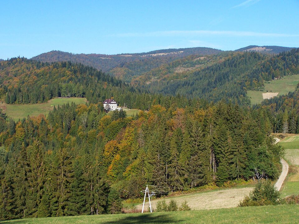 Zdjęcie przedstawia niewysokie wzniesienia porośnięte drzewami.  