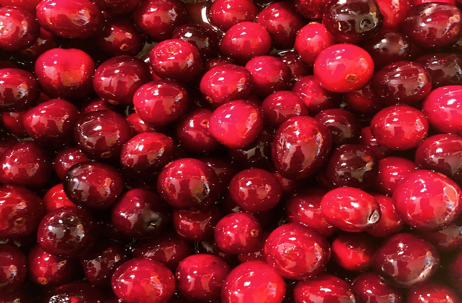 Zdjęcie przedstawia świeże owoce żurawiny. Całe ujęcie jest wypełnione owocami. 