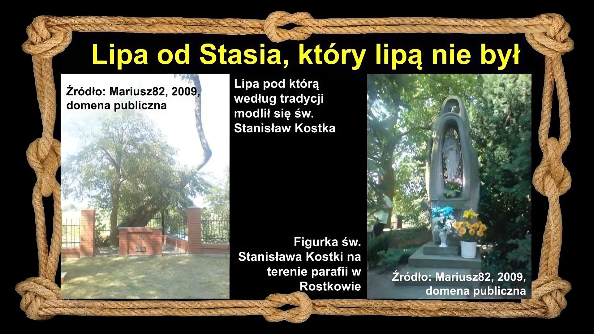 Slajd zawiera napis tytułowy, umieszczony po środku: Lipa od Stasia, który lipą nie był. Po lewej znajduje się zdjęcie, które przedstawia fragment murawy, mur i drzewo. Podpis obok zdjęcia: Lipa pod którą według tradycji modlił się św. Stanisław Kostka. Po prawej znajduje się drugie zdjęcie, które przedstawia pomnik świętego. Pod pomnikiem stoją w wazonach kwiaty, a wokół niego rosną drzewa. Podpis przy zdjęciu: Figurka św. Stanisława Kostki na terenie parafii w Rostowie. Tło slajdu jest czarne, a ramkę slajdu tworzy sznur, przeplatany kilkoma supłami. Źródło zdjęć: Mariusz82, 2009, domena publiczna.
