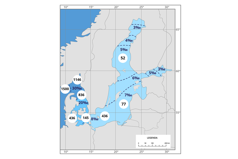 Mapa przedstawia liczbę gatunków fauny dennej w Bałtyku w zależności od zasolenia. W wodach na północy, gdzie zasolenie wynosi od 3 do 5 promili żyją około 52 gatunki. Na południu przy granicy z Łotwą, gdzie zasolenie jest na poziomie 7 promili żyje 77 gatunków, a przy granicy z Polską około 436 gatunków. W wodach w okolicy Danii żyje około 436 gatunków, a w okolicach Norwegii – 1146 gatunków. 