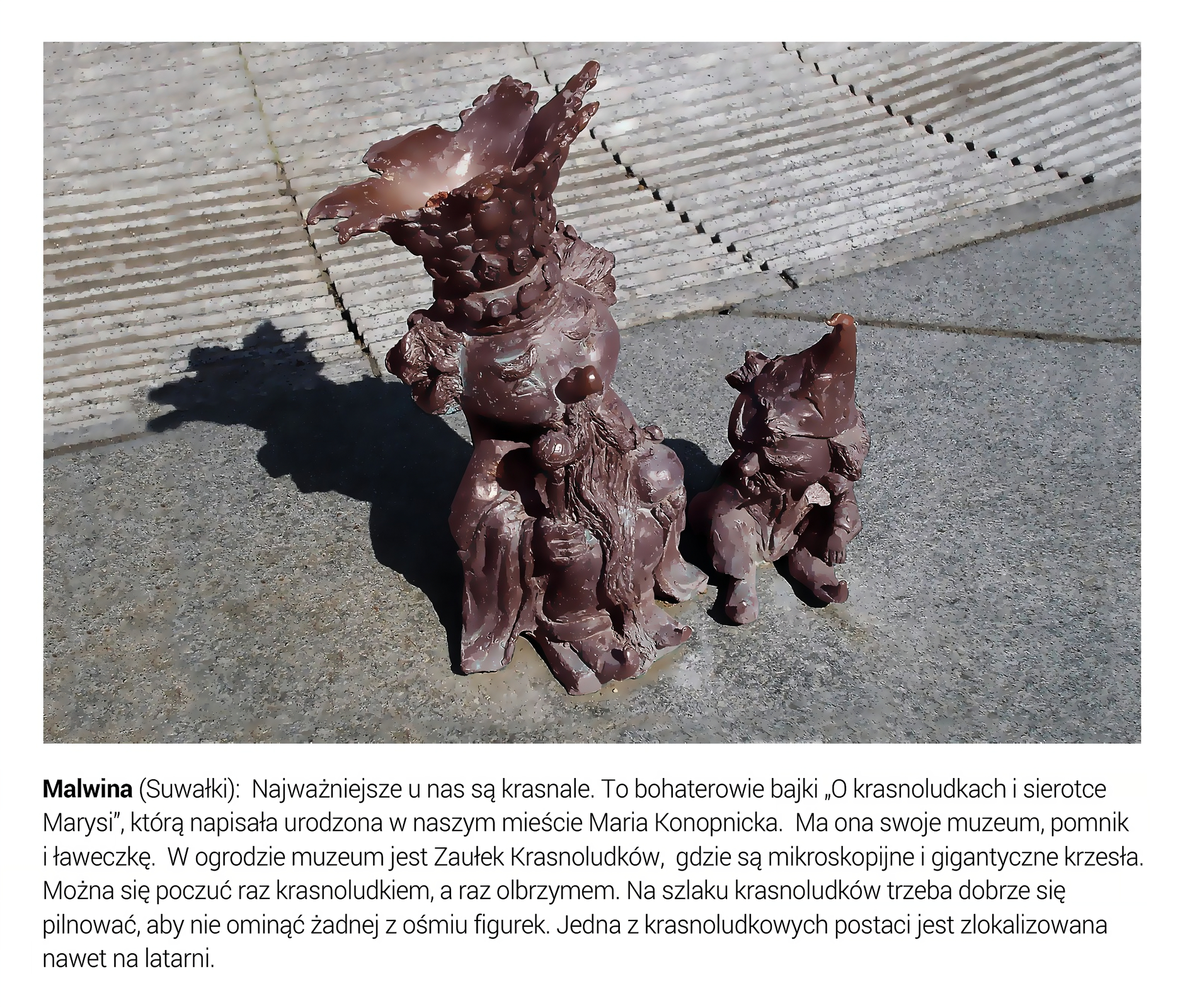 Slajd przedstawia dwie figurki krasnali: Króla Błystka i Kocie Oczko, które znajdują się na szlaku turystycznym w Suwałkach. Figurki obu postaci są wykonane z metalu. Król Błystek nosi na głowie koronę, widoczny zarys oczu, wyeksponowany nos i włosy. Na ramionach nosi płaszcz królewski, w prawej ręce trzyma berło, w lewej jabłko. Kocie Oczko nosi czapkę z wysokim szpicem i buty zakończone szpicem. Pod fotografią tekst: Malwina (Suwałki): Najważniejsze u nas są krasnale. To bohaterowie bajki „O krasnoludkach i sierotce Marysi”, którą napisała urodzona w naszym mieście Maria Konopnicka. Ma ona swoje muzeum, pomnik i ławeczkę. W ogrodzie muzeum jest Zaułek Krasnoludków, gdzie są mikroskopijne i gigantyczne krzesła. Można się poczuć raz krasnoludkiem, a raz olbrzymem. Na szlaku krasnoludków trzeba dobrze się pilnować, aby nie ominąć żadnej z ośmiu figurek. Jedna z krasnoludkowych postaci jest zlokalizowana nawet na latarni.