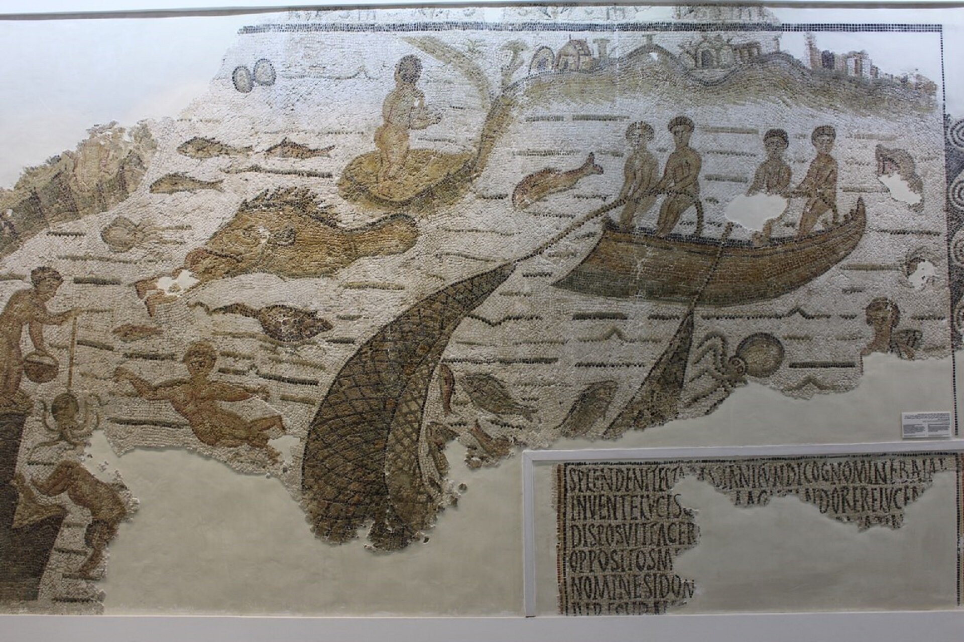 Ilustracja przedstawia połów ryb. W niewielkiej łodzi stoją czterej rybacy z sieciami. W morzu pływa bardzo dużo ryb różnej wielkości: od małych do bardzo dużych. Na pomoście rybak wyciąga z wody ośmiornicę. W tle ilustracji widnieją zabudowania. W prawym dolnym rogu znajduje się długi napis w języku łacińskim, w dużej części zniszczony.