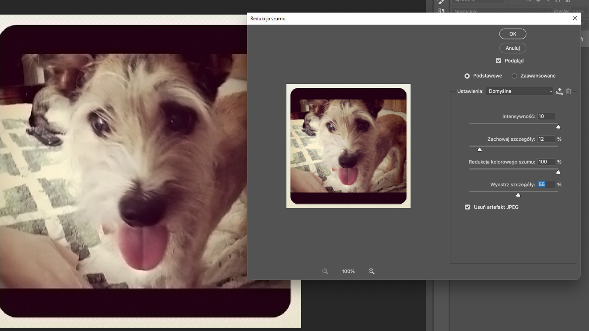 Ilustracja przedstawia okno programu. W obszarze roboczym jest zdjęcie psa. Zdjęcie nie jest zbyt ostre. Po prawej stronie jest otwarte okno o nazwie: Redukcja szumu. W oknie zaznaczono: Podgląd, Ustawienia - Domyślne, intensywność 10, zachowaj szczegóły - 12%, redukcja kolorowego szumu - 100%, wyostrz szczegóły 55%. Zaznaczono: usuń artefakt JPEG. Po lewej stronie w omawianym oknie jest zdjęcie psa. Pies jest wyraźniejszy niż na zdjęciu w obszarze roboczym.    