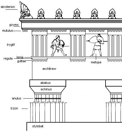 Ilustracja przedstawia schemat kolumny doryckiej. Jest ona osadzona na podstawie zwanej stylobatem. Poprzeczny pasek w górnej części kolumny nazywany jest anulusem. Następnie kolumna jest przymocowana do dwóch elementów: echinusa i abakusa, które łączą ją z podłużnym architrawem. Na architrawie osadzone są mniejsze kolumny, które łączą się z nim przy pomocy trzech części: guttae, regula i tenii. Pomiędzy małymi kolumnami znajdują się postacie zwane metopami. Całość kończy się na gzymsie, elemencie wystającym w dół zwanym mutulusem i szpiczastych ozdobach zwanych akroterionami. 