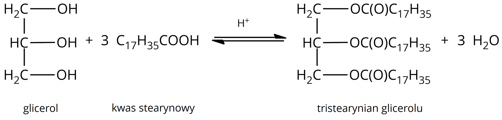 Na ilustracji równanie reakcji: jedna cząsteczka glicerolu + jedna cząsteczka kwasu stearynowego strzałki w dwie strony, nad górną strzałką jest jon wodorowy, jedna cząsteczka tristearynianu glicerolu + trzy cząsteczki wody.  
