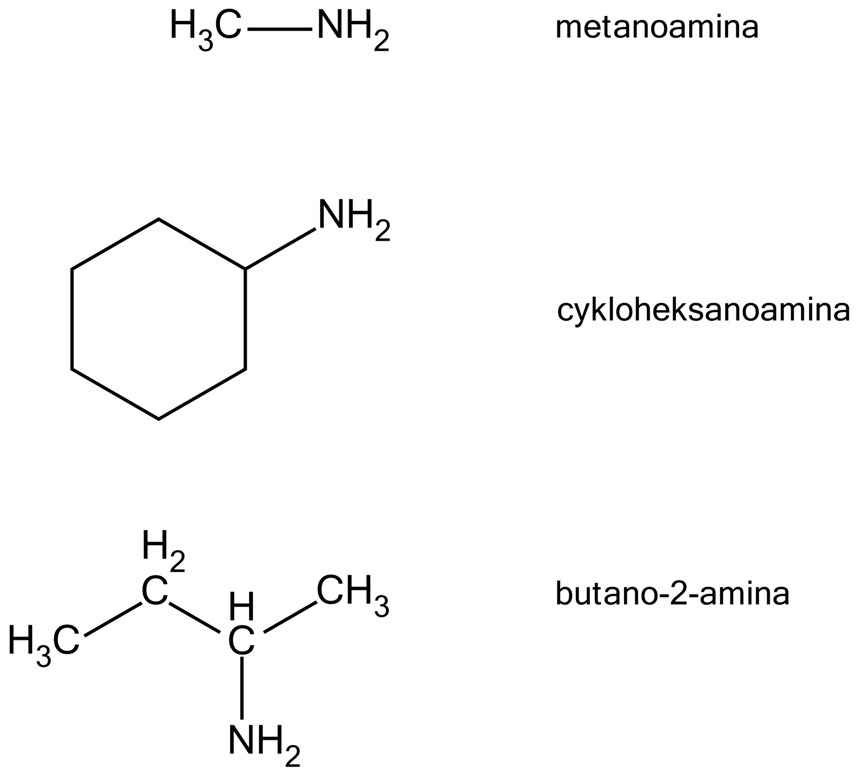 Na ilustracji są trzy wzory. 1. grupa metylowa łączy się z grupą                N       H                 2         . To metanoamina., 2. sześcioczłonowy pierścień łączy się u góry po prawej stronie z grupą                N       H                 2         . To cykloheksanoamina., 3. Łańcuch główny tworzy zygzak. Od lewej strony tworzą go następujące grupy: metylowa, metylenowa, grupa CH, grupa metylenowa. Grupa CH w dół łączy się z grupą                N       H                 2         . To butano‑2-amina.      