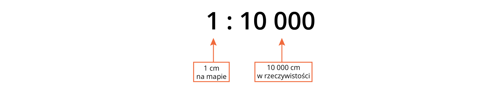 Przykładowy zapis skali liczbowe. 1: 10 000. Od dołu dwa prostokąty z opisem, od nich wychodzi pionowa linia ze strzałką. Strzałka do jedynki opisuje 1 centymetr na mapie, strzałka do dziesięciu tysięcy opisuje 10 000 centymetrów w rzeczywistości. 