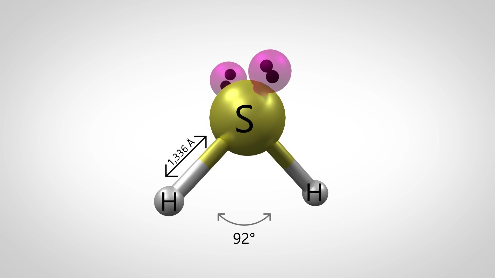 Ilustracja przedstawiająca model kulkowy budowy cząsteczki siarkowodoru, sulfanu. Żółta kulka reprezentuje atom siarki, na którym zaznaczone są dwie małe fioletowe kulki, w każdej z nich po dwie kropki, co symbolizuje wolne pary elektronowe. Od atomu siarki odchodzą dwa wiązania do atomów wodoru symbolizowanych przez białe kulki. Na rysunku zaznaczono długość wiązania pomiędzy atomem siarki i atomem wodoru równą 1,336 Angstrema. Zaznaczono również kąt pomiędzy atomami, H, S, H, który wynosi 92 stopnie.