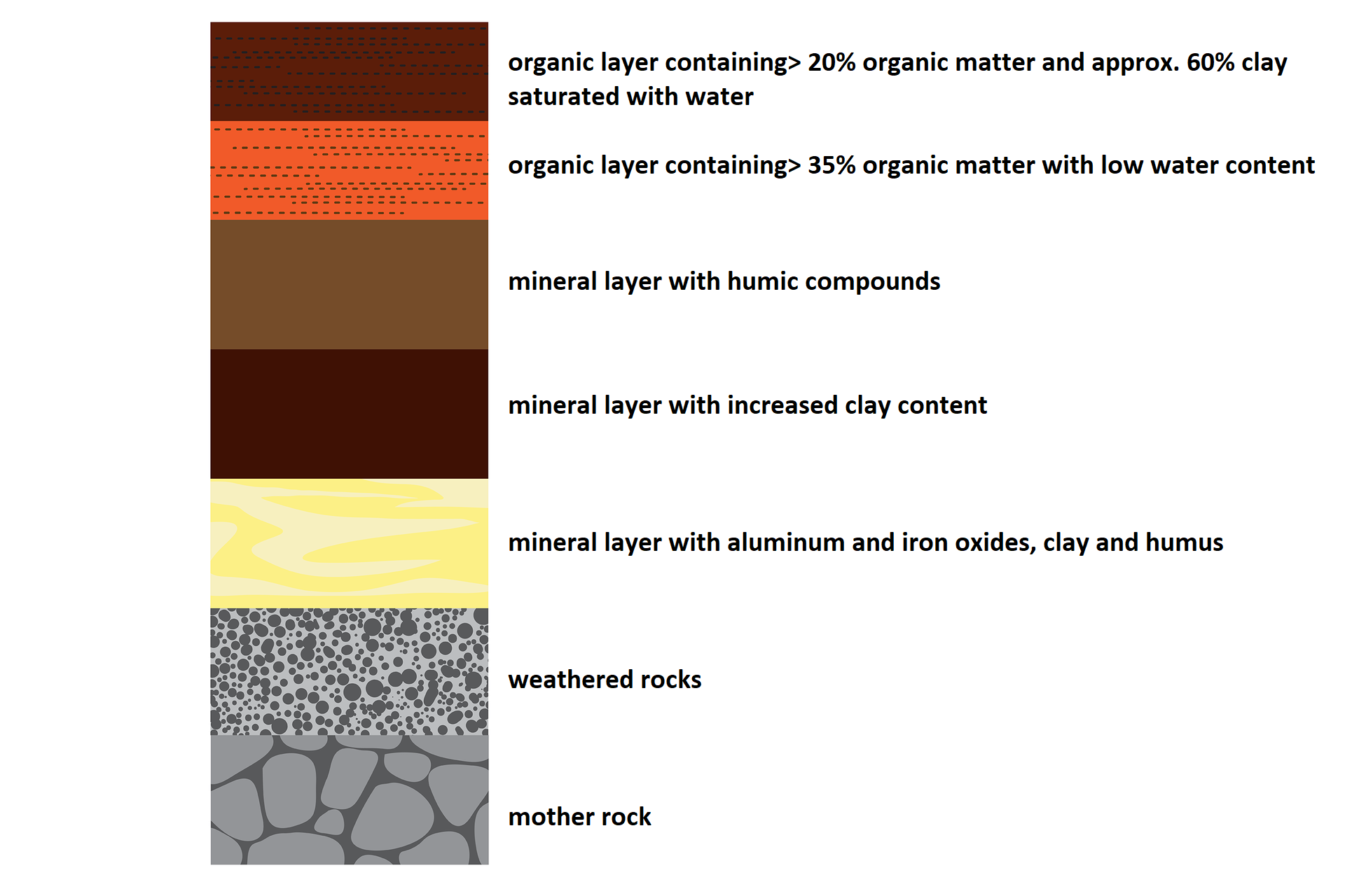 Grafika przedstawiająca poszczególne warstwy gleby (Soil composition). Od góry kolejno : Warstwa organiczna zawierająca więcej niż 20% substancji organicznej i około 60% gliny nasyconej wodą (Organic layer containing greater than 20% organic matter and approx 60% clay saturated with water), Warstwa organiczna zawierająca więcej niż 35% substancji organicznej o niskiej zawartości wody (Organic layer containing > 35% organic matter with low water content), warstwa mineralna ze związkami humusowymi (mineral layer with humic compounds), warstwa mineralna o zwiększonej zawartości gliny (mineral layer with increased clay content), warstwa mineralna z tlenkami glinu i żelaza, gliną i humusem (mineral layer with aluminium and iron oxides, clay and humus), wyblakłe skały (weathered rocks), skała macierzysta (mother rock).