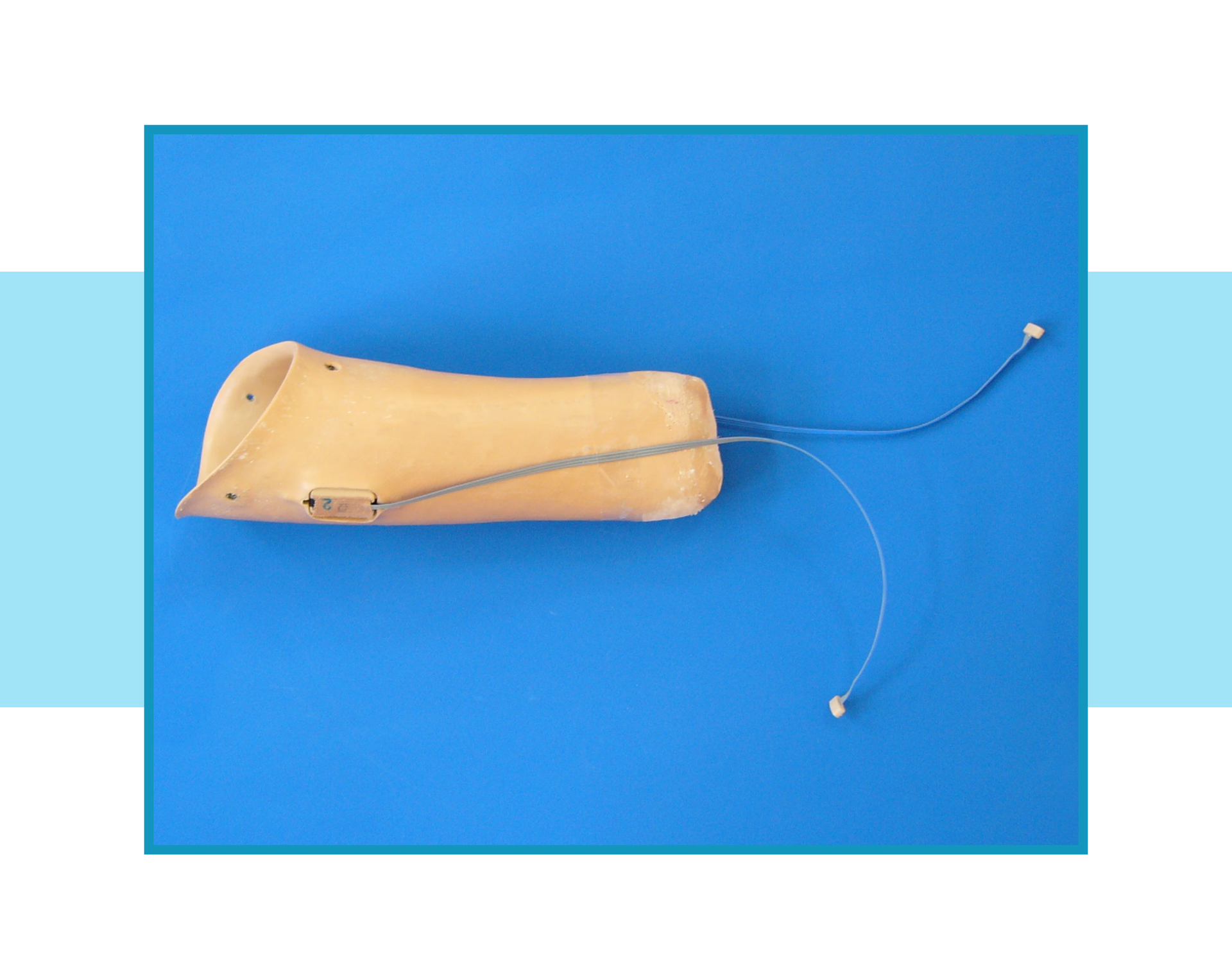 Zdjęcie leja, z którego powierzchni wystają dwa przewody zakończone elektrodami. Lej jest wykonany z tworzywa sztucznego.