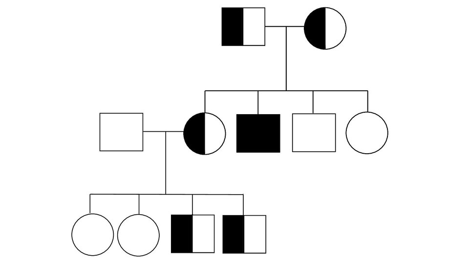 Grafika przedstawia rodowód. Mężczyzna nosiciel choroby oraz kobieta będąca nosicielką choroby posiadają czwórkę potomstwa: córkę będącą nosicielką choroby, chorego syna, zdrowego syna oraz zdrową córkę. Córka będąca nosicielką choroby wraz ze zdrowym partnerem posiadają czwórkę potomstwa: dwie zdrowe córki i dwóch synów będących nosicielami.