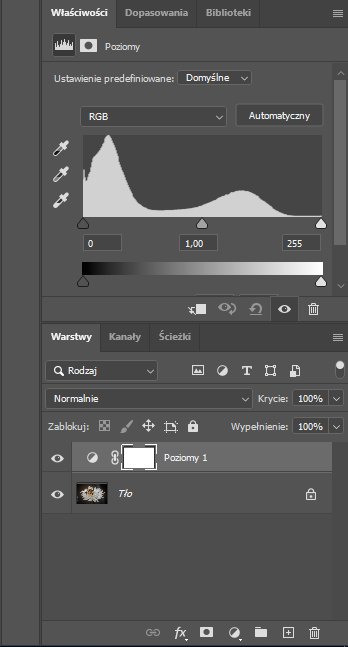 Ilustracja przedstawia panel dotyczący Właściwości. Ustawienia predefiniowane: Domyślne, RGB Automatyczny. Poniżej jest histogram: po lewej stronie jest najwyższy, tam wartość 0, na środku wartość 1.00, po prawej stronie 255. Poniżej jest poziomy pasek z odcieniami szarości - od koloru czarnego po lewej stronie do białego po prawej stronie. Poniżej jest opcja Warstw. Tam dwie warstwy: jedna o nazwie Poziomy 1, druga Tło.  