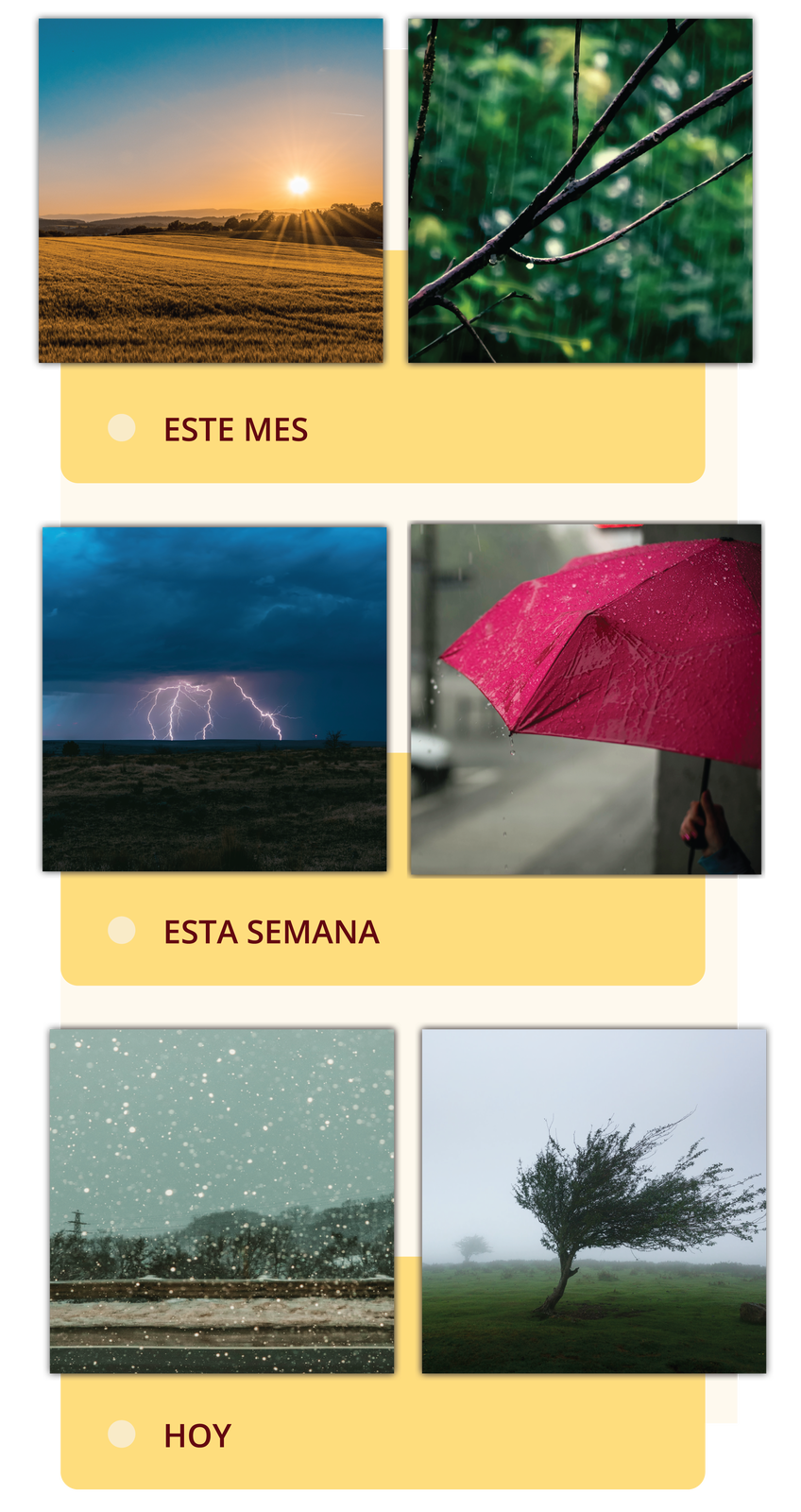 Grafika podzielona jest na trzy części z których każda ma dwa zdjęcia. Pierwsza część podpisana jest ESTE MES. Na pierwszym zdjęciu jest zachód słońca na tle pól i lasów. Niebo jest bezchmurne. Na drugim zdjęciu gałąź drzewa w lesie podczas deszczu. W tle widać prześwitujące promienie słońca.  Druga część podpisana jest ESTA SEMANA. Na pierwszym zdjęciu jest krajobraz pola podczas burzy z piorunami. Na drugim zdjęciu czerwony parasol, trzymany przez osobę na ulicy w deszczowej pogodzie. Trzecia część podpisana jest HOY. Na pierwszym zdjęciu jest widoczny śnieg padający na tle drogi i lasu. Na drugim zdjęciu drzewo stojące na polu, uginające się od wiatru.