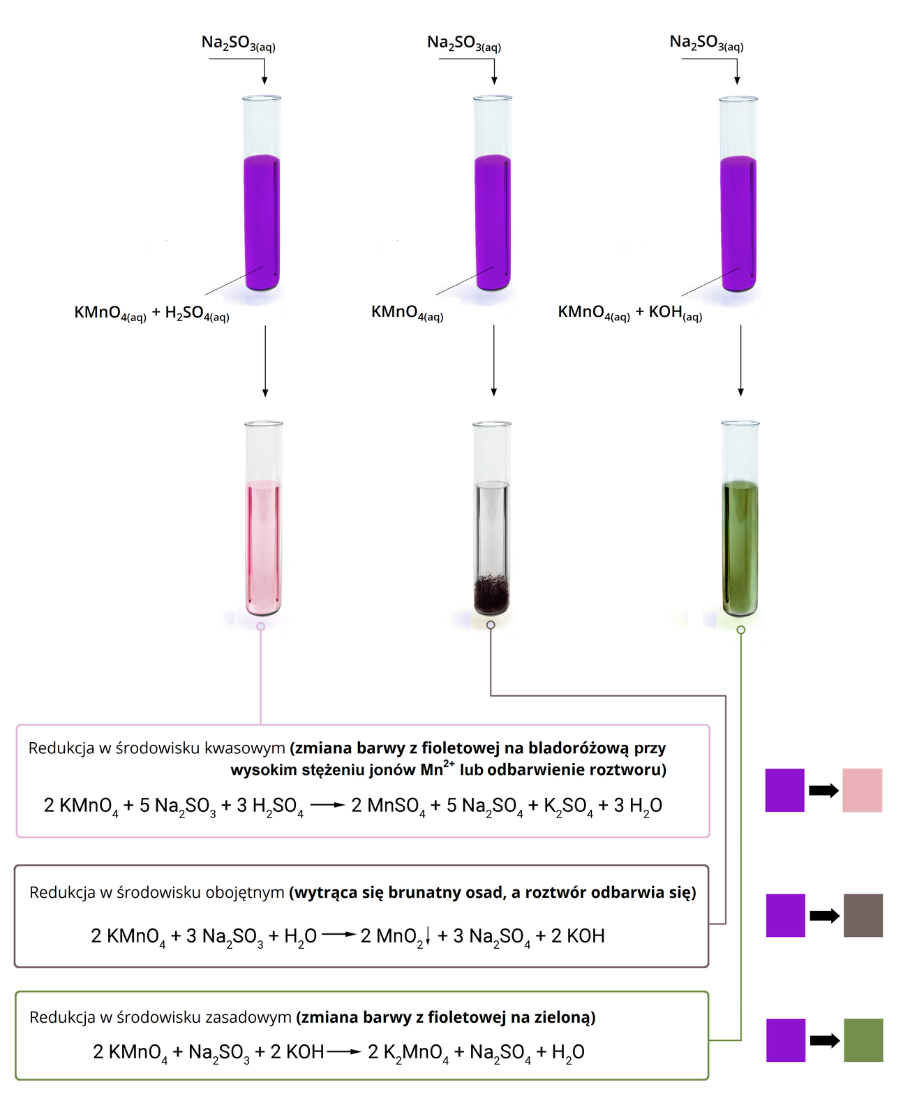 Ilustracja przedstawia schemat doświadczenia, w którym przeprowadzono redukcję manganianusiedem potasu i towarzyszące temu zmiany stopni utlenienia i barwy. W górnej części znajdują się trzy probówki – w pierwszej probówce od lewej znajduje się fioletowy roztwór manganianusiedem potasu oraz wodny roztwór kwasu siarkowegosześć. W drugiej probówce – fioletowy wodny roztwór manganianusiedem. W trzeciej probówce znajduje się fioletowy wodny roztwór manganianusiedem potasu oraz wodorotlenku potasu K O H. Do wszystkich trzech probówek dodano wodnego roztworu siarczanucztery sodu. Od każdej z trzech probówek poprowadzono strzałki w dół. Każda z nich prowadzi do innej probówki, której zawartość obrazuje wynik reakcji po dodaniu wspomnianego siarczanucztery sodu. W pierwszej probówce znajduje się bladoróżowy roztwór. W drugiej fioletowy roztwór odbarwił się oraz wytrącił się brązowy osad. W trzeciej probówce fioletowy roztwór zmienił kolor na zielony. Poniżej znajduje się równanie reakcji dla redukcji manganianusiedem potasu w środowisku kwasowym: dwie cząsteczki K M n O indeks dolny, cztery, koniec indeksu dolnego, dodać pięć cząsteczek N a indeks dolny, dwa, koniec indeksu dolnego, S O indeks dolny, trzy, koniec indeksu dolnego, dodać trzy cząsteczki H indeks dolny, dwa, koniec indeksu dolnego, S O indeks dolny, cztery, koniec indeksu dolnego. Strzałka w prawo, za strzałką dwie cząsteczki M n S O indeks dolny, cztery, koniec indeksu dolnego dodać pięć cząsteczek N a indeks dolny, dwa, koniec indeksu dolnego, S O indeks dolny, cztery, koniec indeksu dolnego, dodać cząsteczka K indeks dolny, dwa, koniec indeksu dolnego, S O indeks dolny, cztery, koniec indeksu dolnego, dodać trzy cząsteczki H indeks dolny, dwa, koniec indeksu dolnego, O. W trzeciej probówce znajduje się brunatny osad po dodaniu do wodnego roztworu manganianusiedem potasu siarczanucztery sodu. Poniżej znajduje się równanie reakcji dla redukcji w środowisku obojętnym: dwie cząsteczki K M n O indeks dolny, cztery, koniec indeksu dolnego dodać trzy cząsteczki N a indeks dolny, dwa, koniec indeksu dolnego, S O indeks dolny, trzy, koniec indeksu dolnego, dodać cząsteczka wody H indeks dolny, dwa, koniec indeksu dolnego, O. Strzałka w prawo, za strzałką dwie cząsteczki M n O indeks dolny, dwa, koniec indeksu dolnego, strzałka w dół, dodać trzy cząsteczki N a indeks dolny, dwa, koniec indeksu dolnego, S O indeks dolny, cztery, koniec indeksu dolnego, dodać dwie cząsteczki K O H. W czwartej probówce znajduje się zielony roztwór po dodaniu do manganianusiedem potasu wodorotlenku potasu oraz siarczanucztery sodu. Poniżej znajduje się równanie reakcji dla redukcji w środowisku zasadowym: dwie cząsteczki K M n O indeks dolny, cztery, koniec indeksu dolnego dodać cząsteczka N a indeks dolny, dwa, koniec indeksu dolnego, S O indeks dolny, trzy, koniec indeksu dolnego, dodać dwie cząsteczki K O H. Strzałka w prawo, za strzałką dwie cząsteczki K indeks dolny, dwa, koniec indeksu dolnego, M n O indeks dolny, cztery, koniec indeksu dolnego dodać cząsteczka N a indeks dolny, dwa, koniec indeksu dolnego, S O indeks dolny, cztery, koniec indeksu dolnego, dodać cząsteczka H indeks dolny, dwa, koniec indeksu dolnego, O.