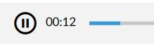 Na zrzucie ekranu przedstawiono ikonę zatrzymania odtwarzania filmu. W czarnym okręgu znajdują się dwa pionowe paski. Po naciśnięciu ikony zatrzymywany jest proces odtwarzania materiału dźwiękowego. Po prawej stronie znajduje się czas i pasek postępu nagrania.