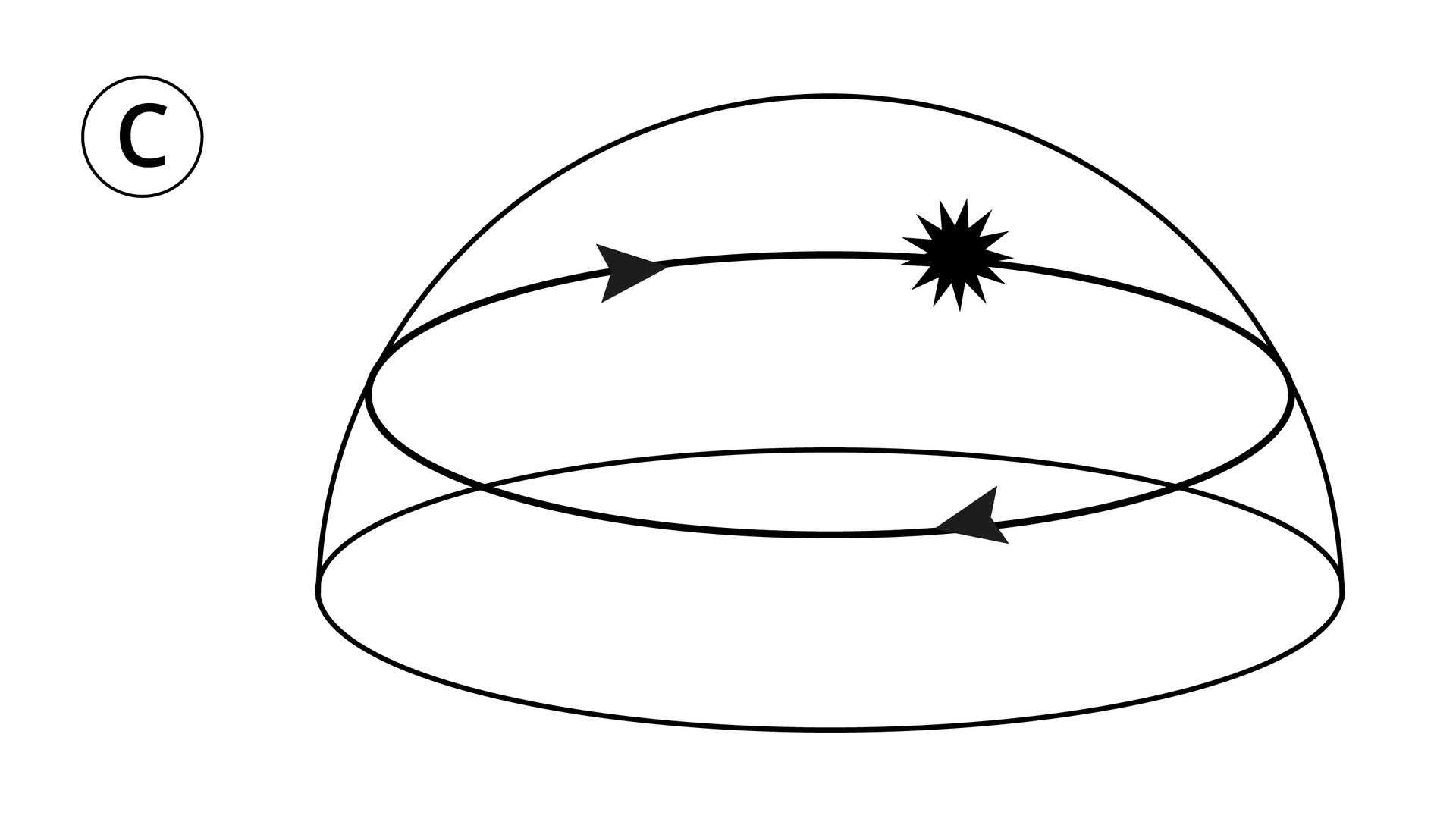 Rysunek przedstawia ruch słońca nad widnokręgiem. Narysowana jest okrągła płaszczyzna widnokręgu. Nad tą płaszczyzną narysowana jest połowa okręgu oznaczająca sklepienie niebieskie oraz okręg równoległy do tej płaszczyzny z dwiema strzałkami skierowanymi zgodnie ze ruchem wskazówek zegara. W jednym punkcie tego okręgu narysowane jest słońce.