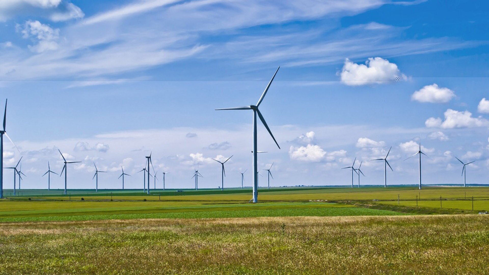 Fotografia przedstawiająca farmę wiatrową. Metalowe konstrukcje wiatraków ustawione są na polach uprawnych. Górują nad krajobrazem.