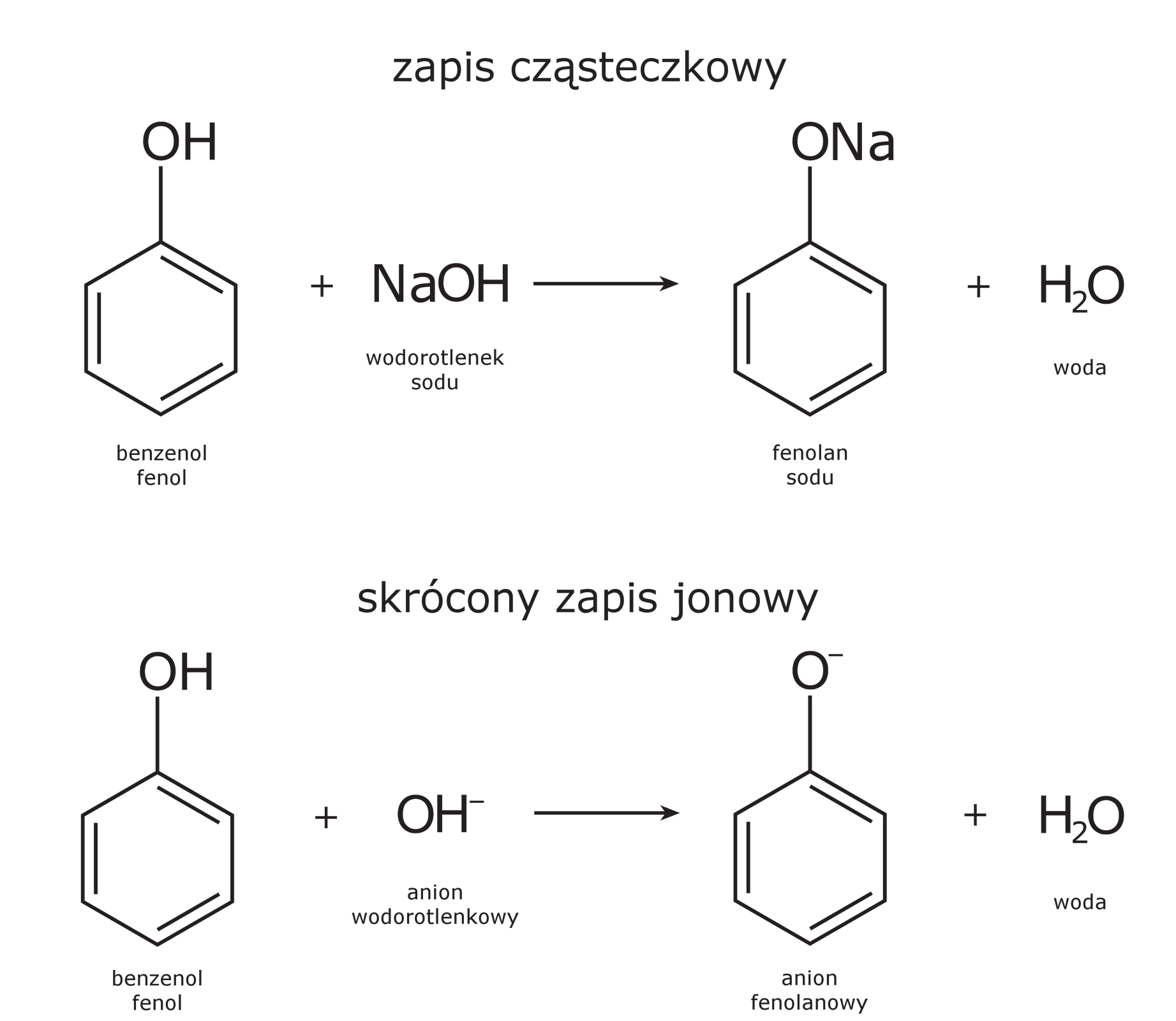 Ilustracja przedstawiająca zapis cząsteczkowy oraz zapis jonowy skrócony reakcji pomiędzy fenolem oraz wodorotlenkiem sodu. Zapis cząsteczkowy. Cząsteczka benzenolu, to jest fenolu zbudowanego z pierścienia fenylowego, to jest sześcioczłonowego pierścienia aromatycznego, w którym jeden z atomów węgla połączony jest z grupą hydroksylową OH. Dodać cząsteczkę wodorotlenku sodu NaOH. Strzałka w prawo, za strzałką cząsteczka fenolanu sodu zbudowanego z pierścienia fenylowego, to jest sześcioczłonowego pierścienia aromatycznego, w którym jeden z atomów węgla połączony jest z atomem tlenu związanym z atomem sodu. Dodać cząsteczkę wody H2O. Poniżej zapis skrócony jonowy. Cząsteczka fenolu zbudowanego z pierścienia fenylowego, to jest sześcioczłonowego pierścienia aromatycznego, w którym jeden z atomów węgla połączony jest z grupą hydroksylową OH. Dodać anion hydroksylowy OH-. Strzałka w prawo, za strzałką anion fenolanowy zbudowany z sześcioczłonowego pierścienia aromatycznego, w którym jeden z atomów węgla połączony jest z atomem tlenu obdarzonym ładunkiem ujemnym. Dodać cząsteczkę wody H2O.