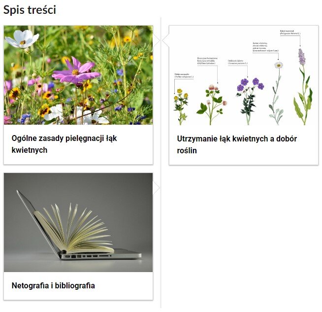 Zdjęcie przedstawia zrzut ekranu zawierający spis treści e‑booka. Składa się on z trzech kafelków, na których umieszczono tytuł rozdziału oraz ilustracje powiązaną z jego tematem. Pierwszy kafelek posiada ilustrację przedstawiającą kolorową, kwietną łąkę. Rozdział zatytułowany jest: Ogólne zasady pielęgnacji łąk kwietnych. Drugi kafelek posiada ilustrację przedstawiającą pięć gatunków roślin łąkowych. Rozdział zatytułowany jest: Utrzymanie łąk kwietnych a dobór roślin. Trzeci kafelek posiada ilustrację przedstawiającą otwarty laptop, na którym położona jest otwarta książka. Rozdział zatytułowany jest: Netografia i bibliografia.