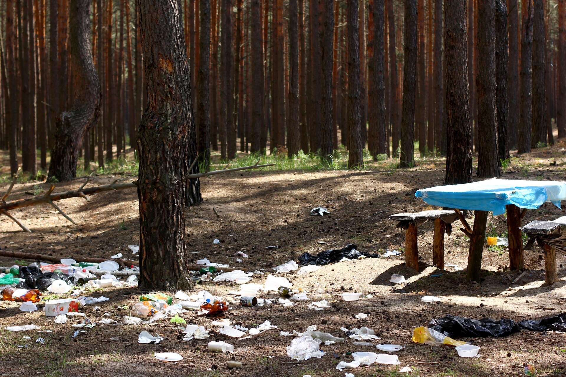 Fotografia przedstawiająca las pełen śmieci pozostawionych przez turystów. Obok stoi stolik i dwie ławki zrobione z drzewa. A photograph showing a forest full of trash left by tourists. Next to it is a table and two benches made of wood.