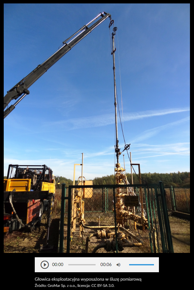 Przykładowa grafika z galerii zdjęć - z rozwiniętym opisem