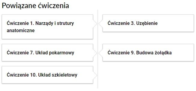 Widok przykładowego przycisku ćwiczeń powiązanych z danym multimedium