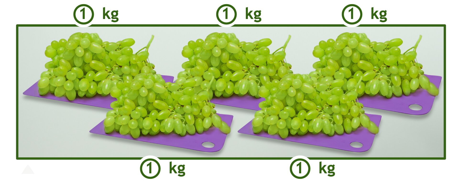 Rysunek przedstawia pięć tacek z winogronem. Na każdej leży 1 kilogram winogron.