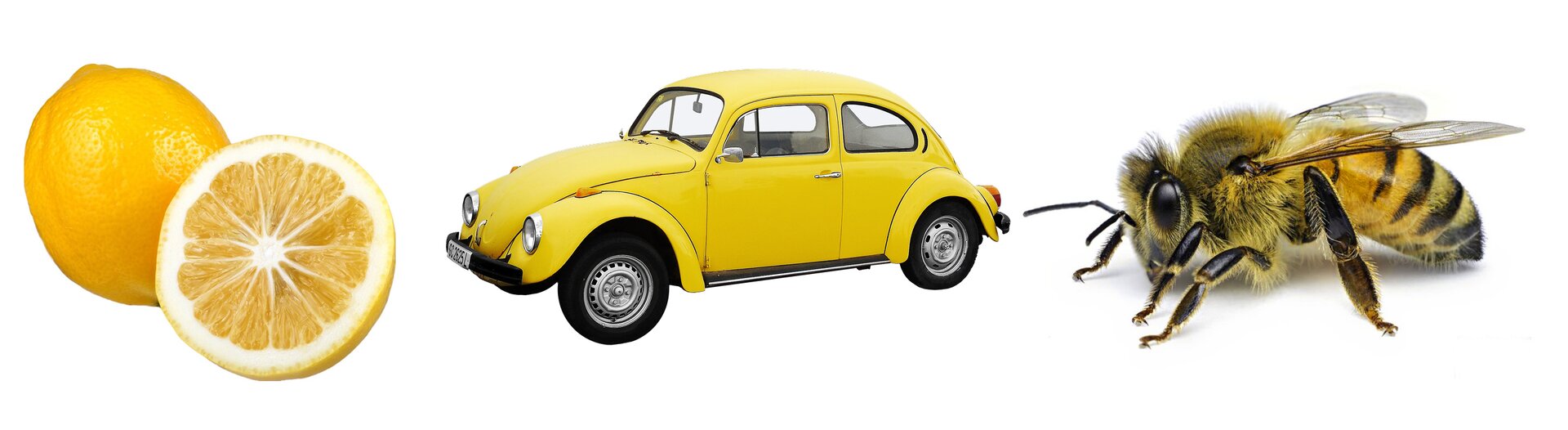 Ilustracja przedstawia połówkę cytryny oraz całą cytrynę tuż za nią, żółty samochód marki Volkswagen "Garbus" oraz pszczołę.