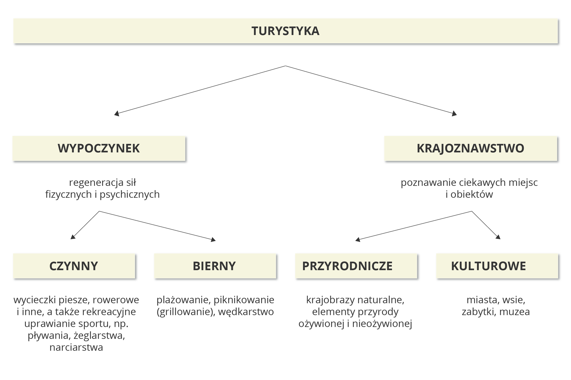 Na ilustracji schemat podziału turystyki na główne jej rodzaje wraz z krótkimi objaśnieniami. Turystyka dzieli się na wypoczynek i krajoznawstwo. Wypoczynek to regeneracja sił fizycznych i psychicznych. Może być czynna (wycieczki piesze, rowerowe i inne, a także uprawianie sportu, na przykład pływania, żeglarstwa, narciarstwa) lub bierna – plażowanie, piknikowanie (grillowanie), wędkarstwo. Krajoznawstwo to poznawanie ciekawych miejsc i obiektów. Miejsca i obiekty dzielą się na przyrodnicze (krajobrazy naturalne, elementy przyrody ożywionej i nieożywionej) oraz na kulturowe – miasta, wsie, zabytki, muzea.